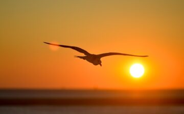06-03-25 | The Four Keys to Liberation: Vedanta’s Path to Freedom