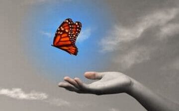 2026-03-07 | Owning Your Story: The Alchemy of Guilt